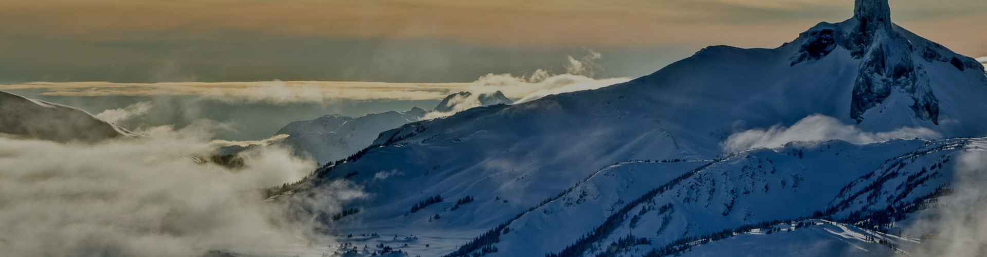 banner image